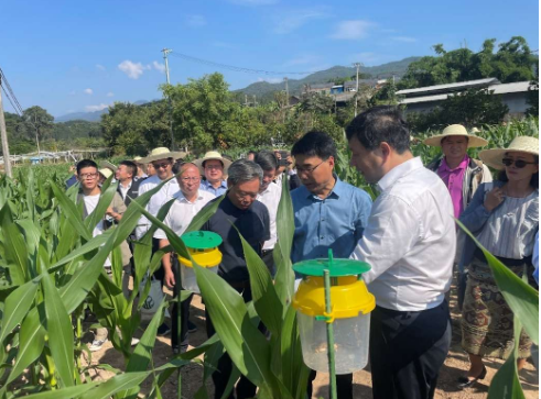 跨境作物重大病虫害联防联控技术示范现场会在云南江城举办